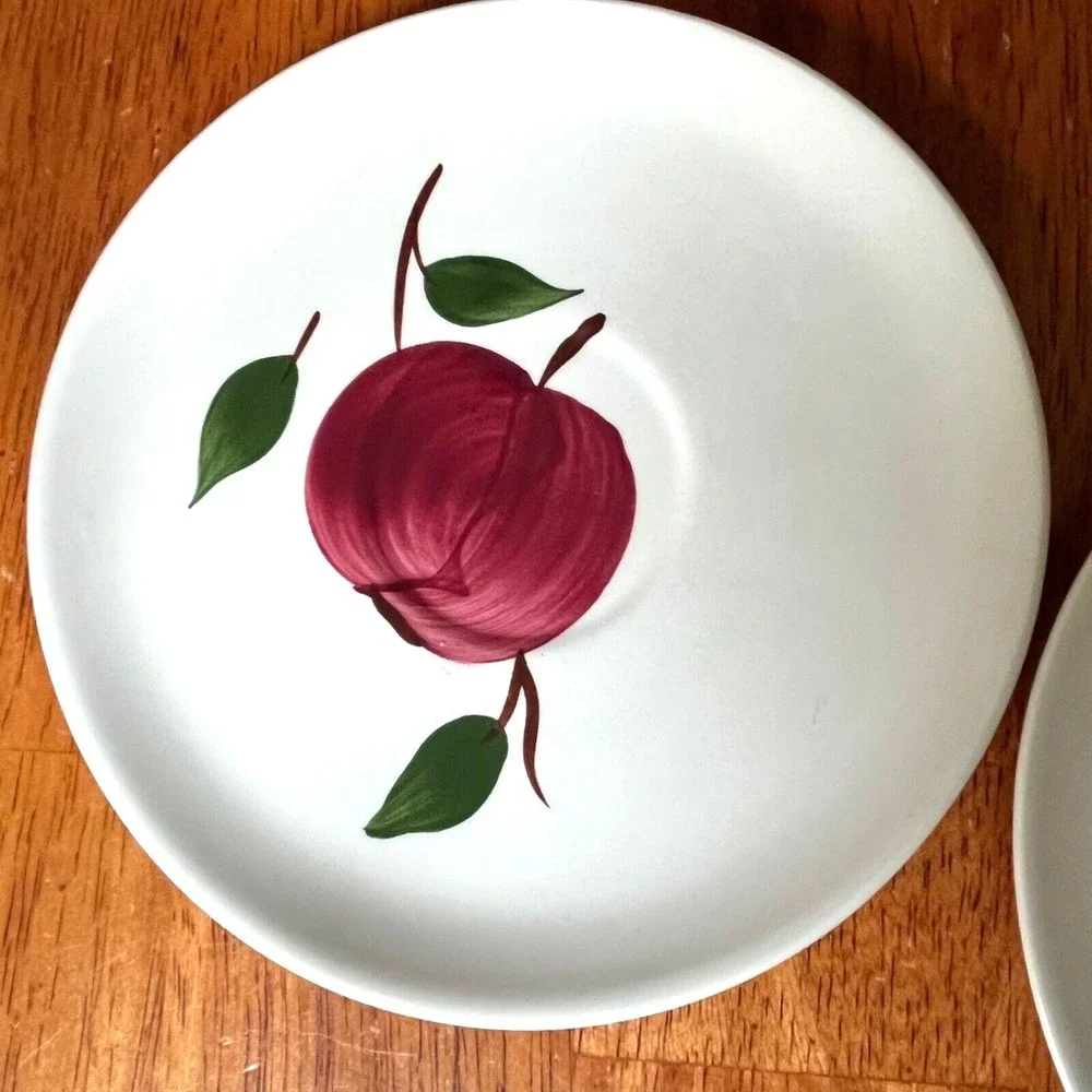VTG BLUE RIDGE Southern Potteries ARLINGTON APPLE Plates Saucers USA 6”
